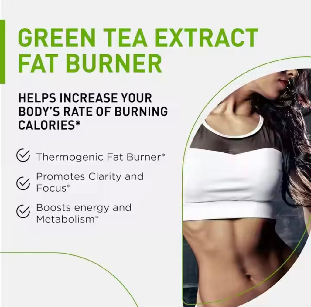 Premium Green Tea Extract – Metabolism & Energy Support